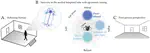 New funding from the European Research Council!