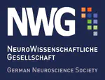 Tim receives a FENS Travel Grant from the German Neuroscience Society