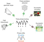New paper on theta-phase locking of human single neurons